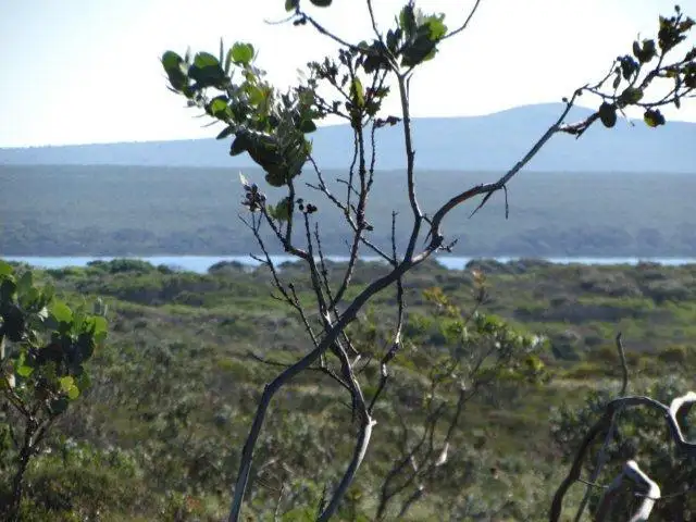 Fifth view of Homely land listing, 74 Seaview Way, Hopetoun WA 6348