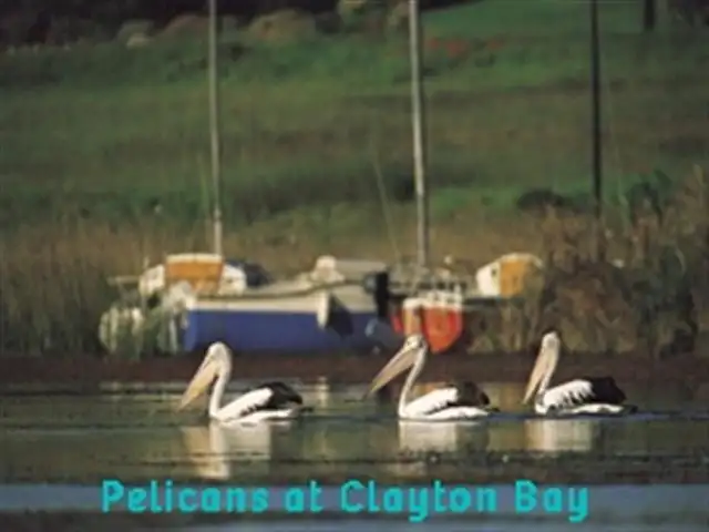 Third view of Homely land listing, Lot 3 (#4) Bayview Road, Clayton Bay SA 5256