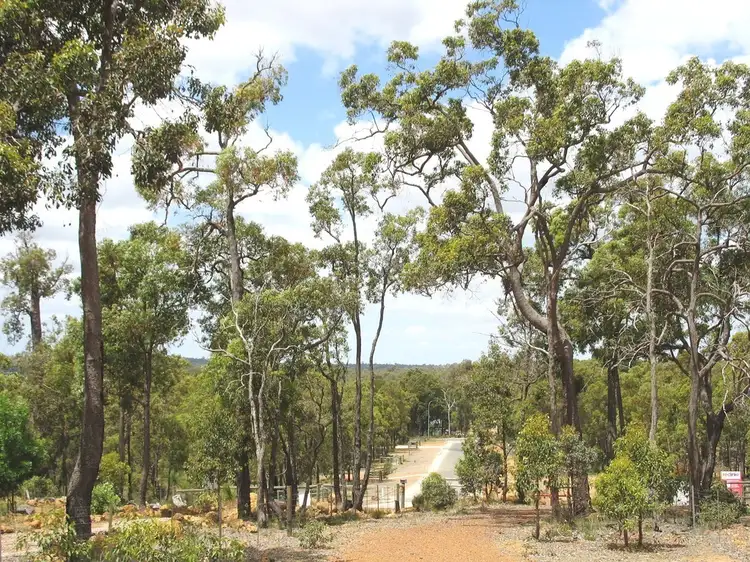 Lot 304 Ocotillo Court, Gidgegannup WA 6083