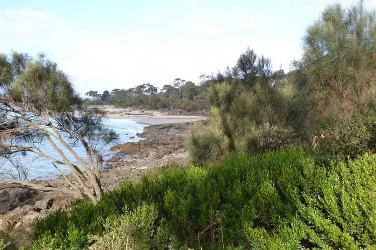 Second view of Homely house listing, 9 Barnett Crescent, Bridport TAS 7262