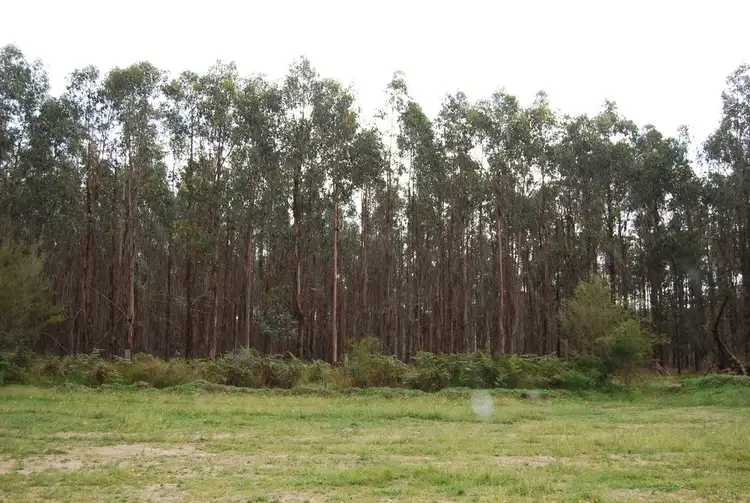 00 Brownes Road, Stockdale VIC 3862