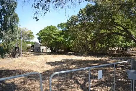 Sixth view of Homely house listing, 256 Padbury Avenue, Herne Hill WA 6056
