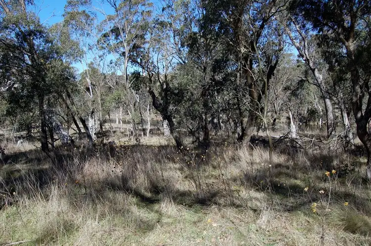 Third view of Homely rural property listing, 1 - 9 Cavanagh St, Ebor NSW 2453