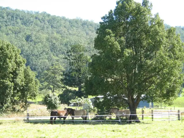 Third view of Homely rural property listing, 1730 Collins Creek Road, Kyogle NSW 2474