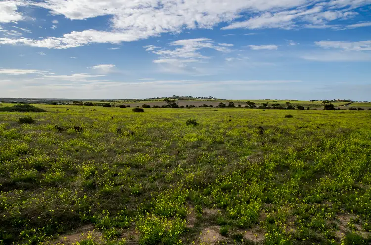 Fifth view of Homely land listing, Sec 125 Wallschutzky Road, Streaky Bay SA 5680