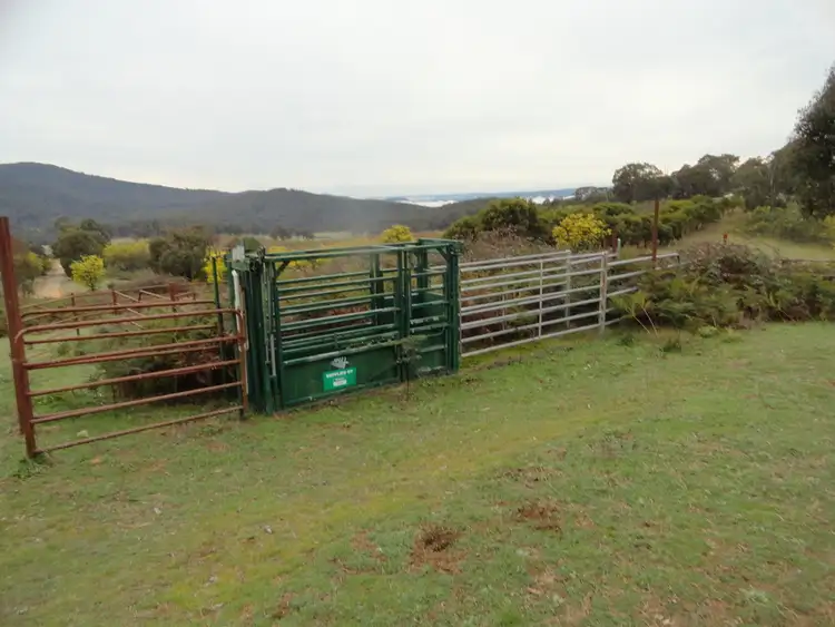 Third view of Homely rural property listing, 724 Yenschs Road, Lankeys Creek NSW 2644