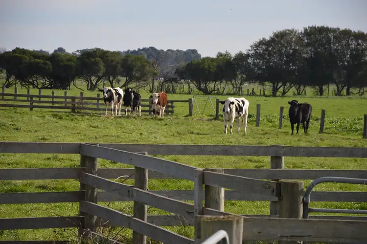 Second view of Homely rural property listing, 2160 Bass Highway, Bass VIC 3991