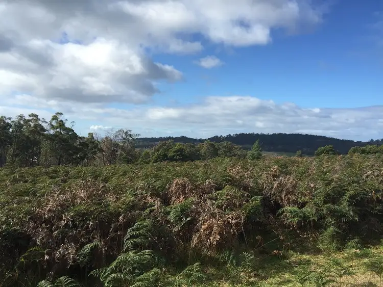 Seventh view of Homely land listing, 964 Killora road, North Bruny TAS 7150