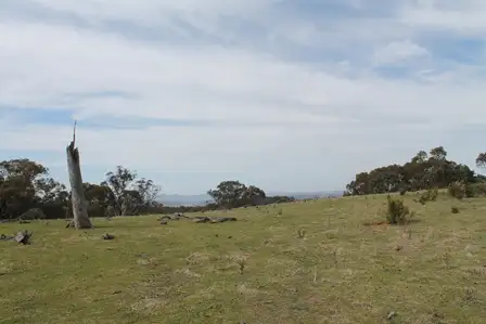 Second view of Homely rural property listing, 1972 Triamble Road, Mudgee NSW 2850