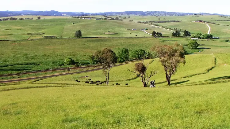 Main view of Homely land listing, 156 St Johns Road, Georges Plains NSW 2795