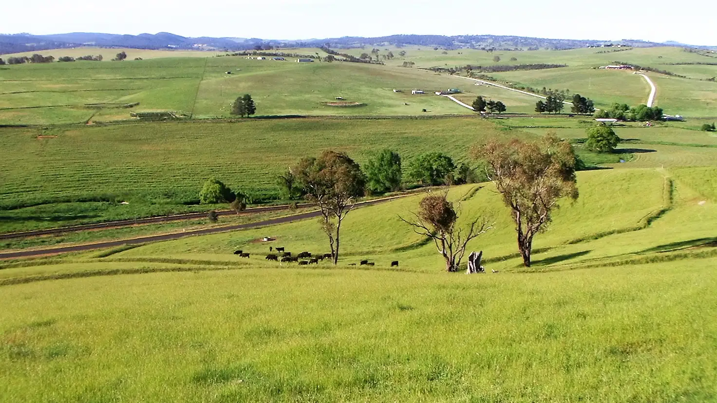 Main view of Homely land listing, 156 St Johns Road, Georges Plains NSW 2795