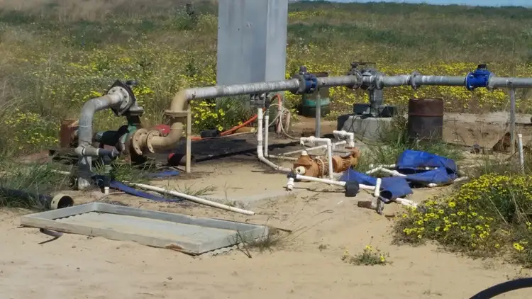 Seventh view of Homely rural property listing, 746 Brand Mudge Rd EGANU via, Coorow WA 6515