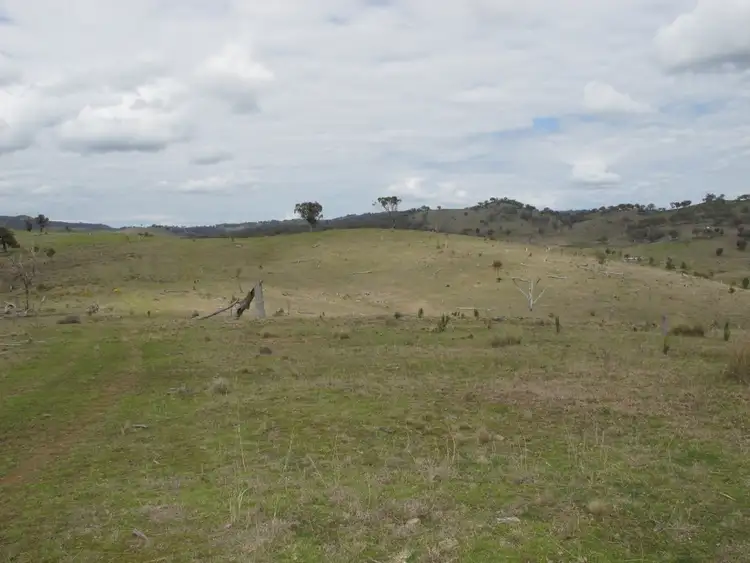 Third view of Homely rural property listing, 595 Pyramul Road, Mudgee NSW 2850