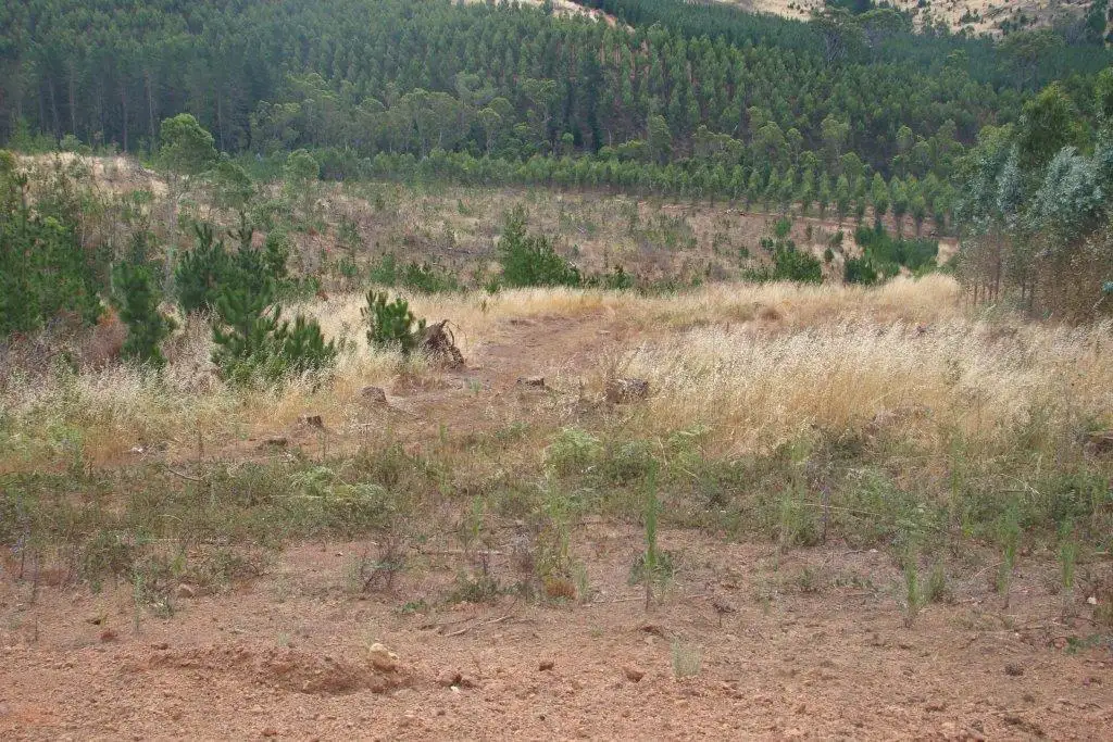 Main view of Homely land listing, 2 Quagamirup Rd, Bridgetown WA 6255