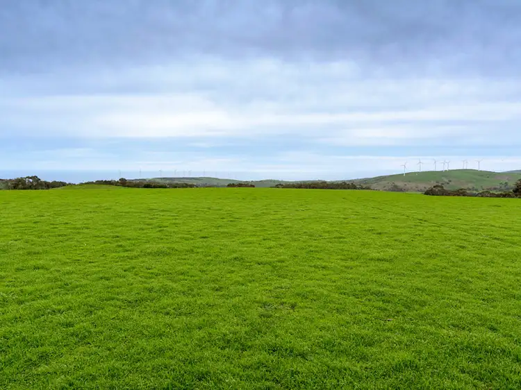 Sixth view of Homely rural property listing, 9058 Main South Rd, Delamere SA 5204