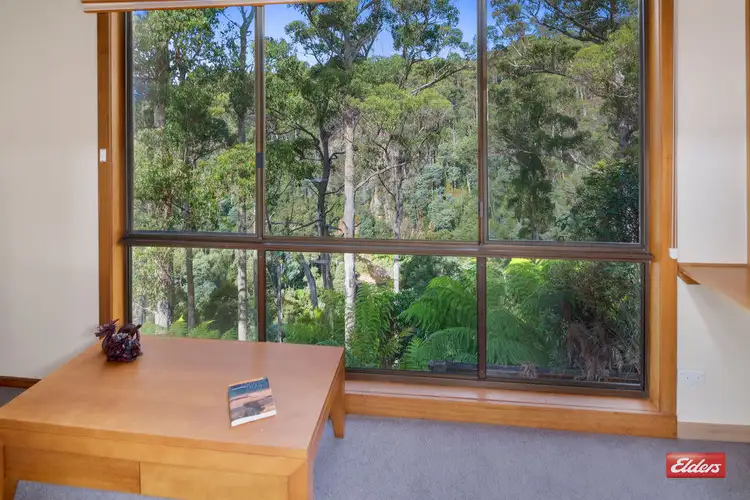 Fifth view of Homely house listing, 17 Vicevich Road, Somerset TAS 7322