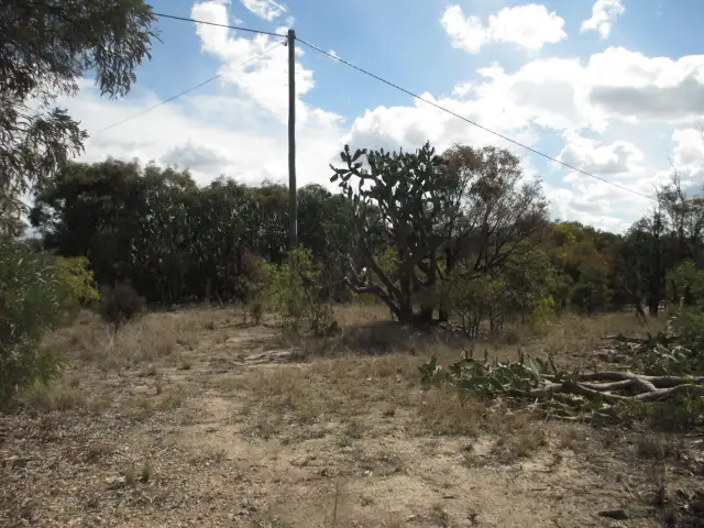 4 WESTERN ROAD, Tara QLD 4421