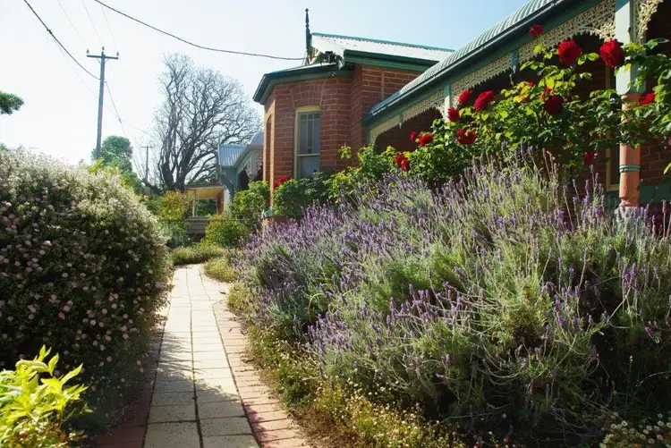 Third view of Homely house listing, 21 Maxwell Street, Wellington NSW 2820