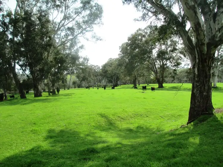 Second view of Homely rural property listing, 1162 GOULBURN VALLEY HIGHWAY, Thornton VIC 3712