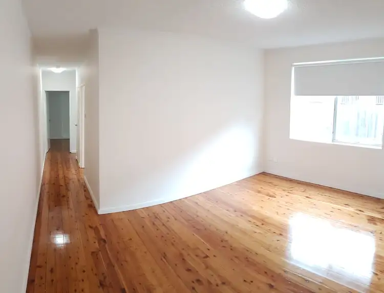3/43 MacDonald Street