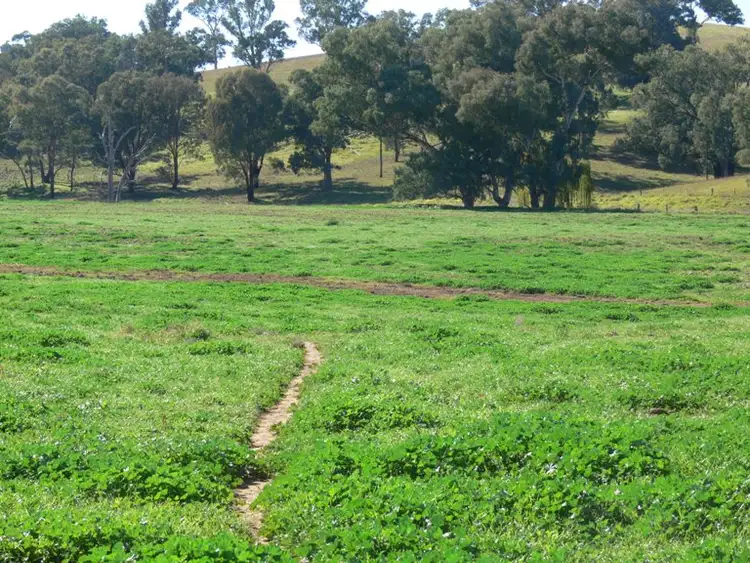 Fourth view of Homely rural property listing, 506 Binni Creek Road, Cowra NSW 2794