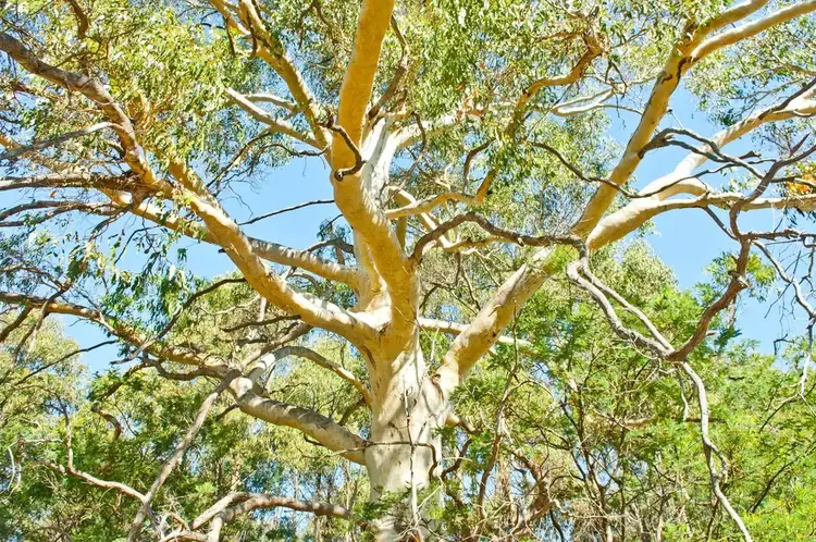 Sixth view of Homely house listing, 474 River Road, Reedy Marsh TAS 7304