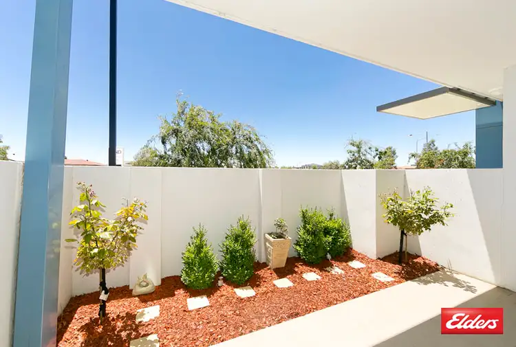 19/329 Flemington Road, Franklin ACT 2913