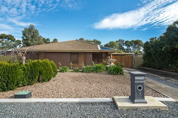 Second view of Homely house listing, 19 Brooks Avenue, Willaston SA 5118