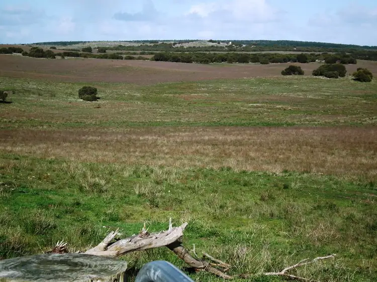 Fifth view of Homely rural property listing, "Cooriboolka" 167 Coffin Bay Road, Coffin Bay SA 5607