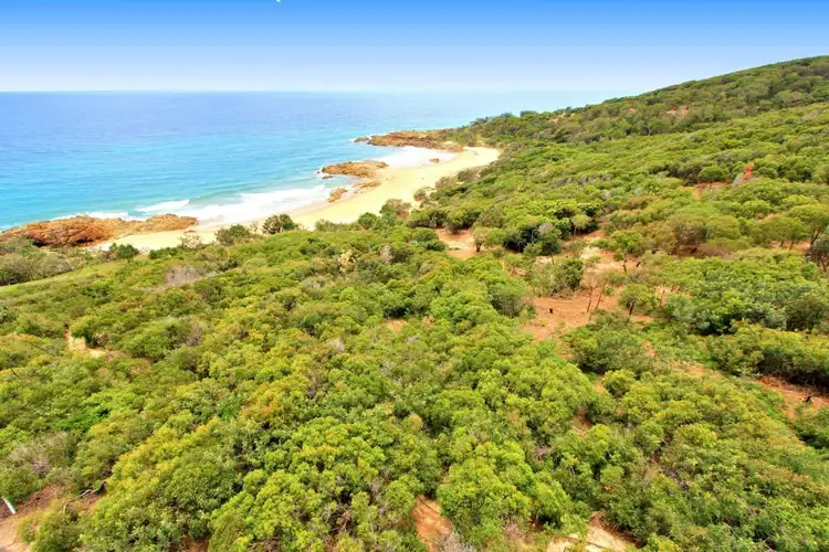 59 Grevillia Ct Sunrise, Agnes Water QLD 4677