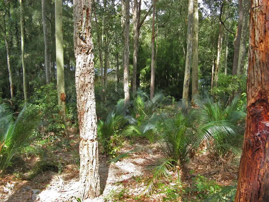 Main view of Homely land listing, 23 Murramarang Crescent, South Durras NSW 2536