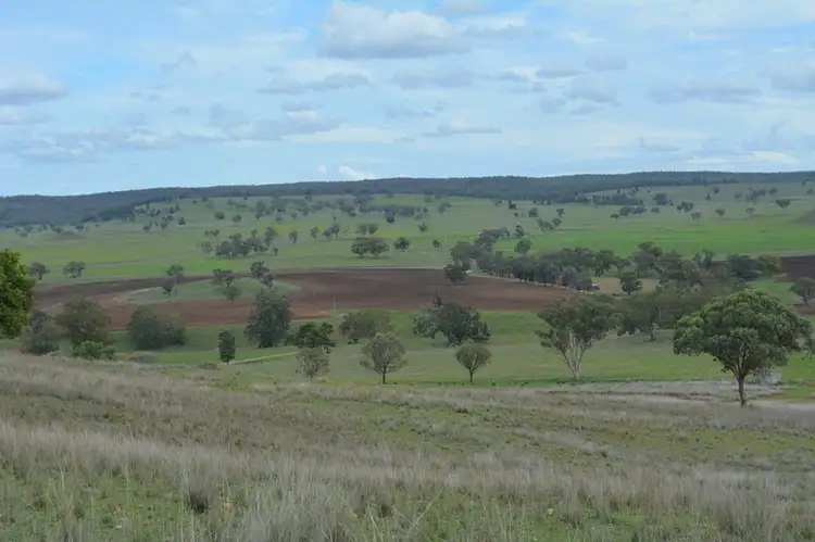 Sixth view of Homely rural property listing, 62 Purlewaugh Rd, Premer NSW 2381