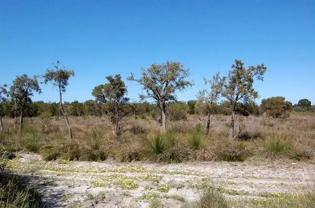 Second view of Homely land listing, Lot 494 Nicholson Road, Oakford WA 6121