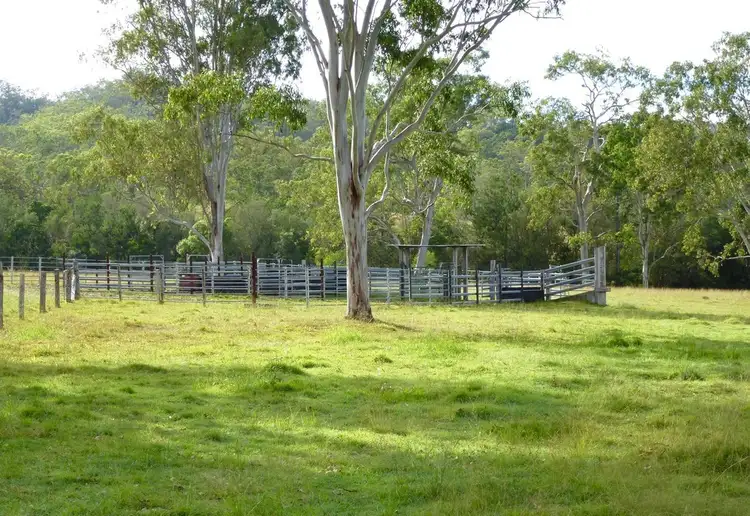 Seventh view of Homely rural property listing, 292 Forestry Road, Colosseum QLD 4677