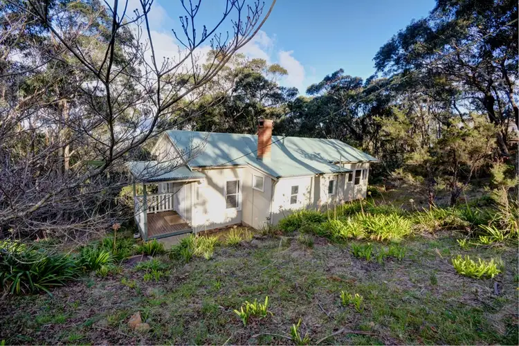 Main view of Homely house listing, 40 Mount Piddington Road, Mount Victoria NSW 2786
