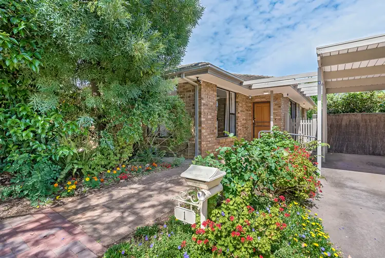 1 Fon Street, Linden Park SA 5065