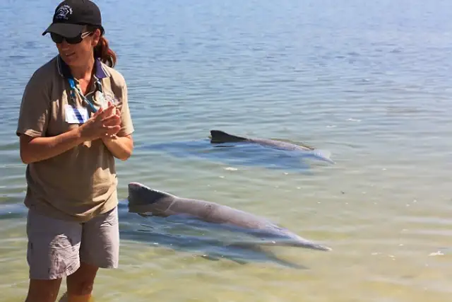 Second view of Homely land listing, 8 Threadfin Street, Tin Can Bay QLD 4580