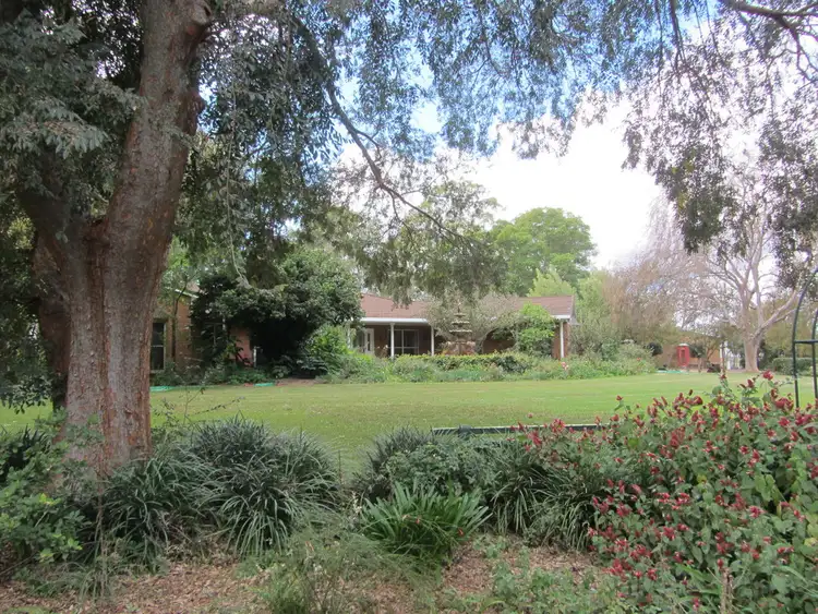 Main view of Homely rural property listing, II "Rockdale", Moree NSW 2400