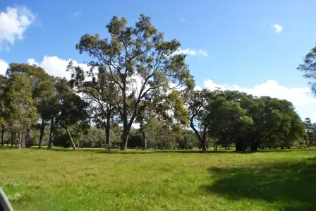 Second view of Homely rural property listing, Lot 2563 Weld Rd, Capel WA 6271