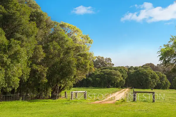 Third view of Homely rural property listing, 50 Coostien Road, Scott River WA 6288