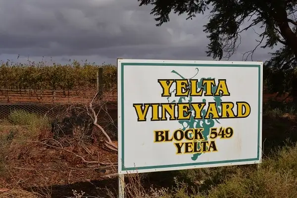 Main view of Homely rural property listing, 459 Old Mail Road, Wargan VIC 3505