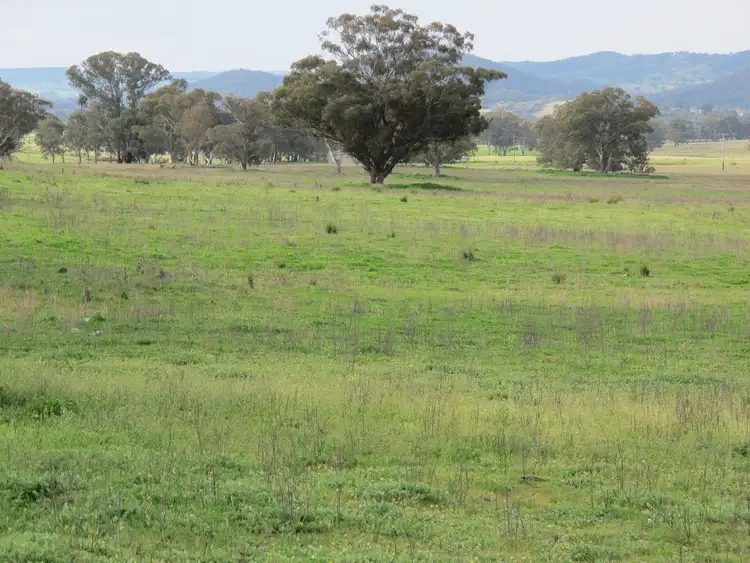 Fifth view of Homely rural property listing, 124 Hughes Lane, Mudgee NSW 2850