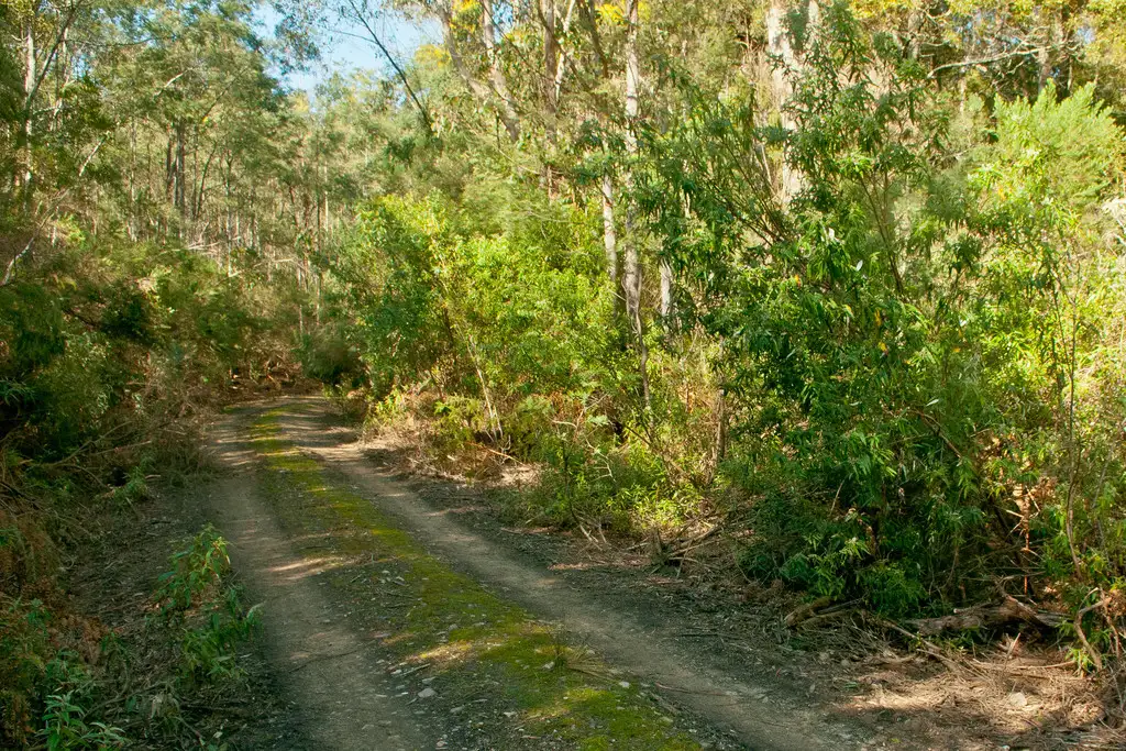 Main view of Homely rural property listing, 0 Crowdens Road, Western Creek TAS 7304