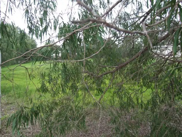 Third view of Homely land listing, Lot 123 Sherrington Crest, Manjimup WA 6258