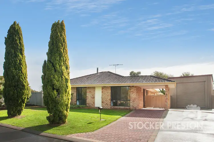 37 Kittyhawk Grove, Geographe WA 6280