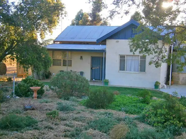 Lot 169 Heinrich Road, Cadell SA 5321