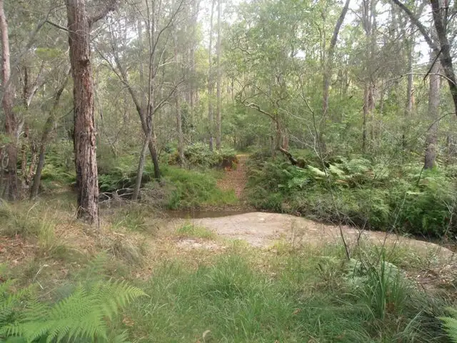 Third view of Homely rural property listing, 1290 Stockyard Creek Road, Stockyard Creek NSW 2460