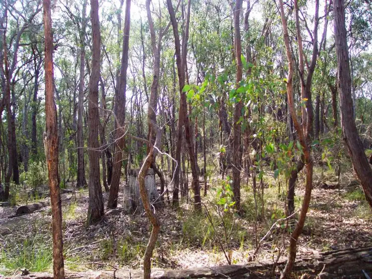 Third view of Homely rural property listing, Lot 2 South Gippsland Highway, Woodside VIC 3874