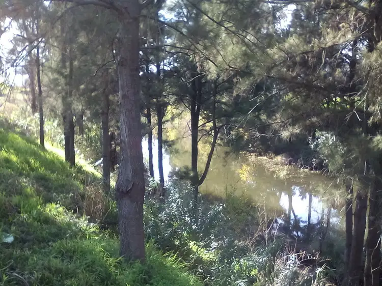 Second view of Homely rural property listing, 1055-1063 Armidale Road, Nemingha NSW 2340