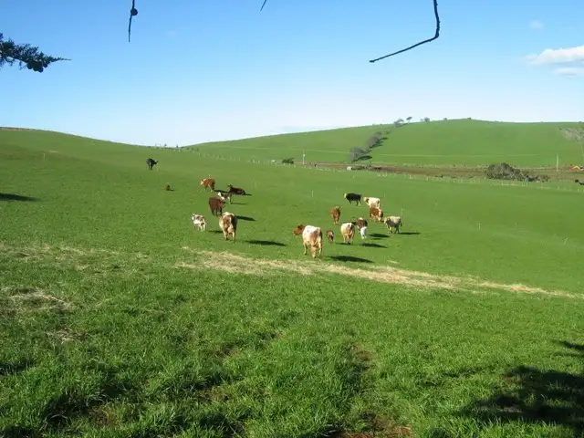 Second view of Homely rural property listing, 11866 Bass Highway, West Ulverstone TAS 7315